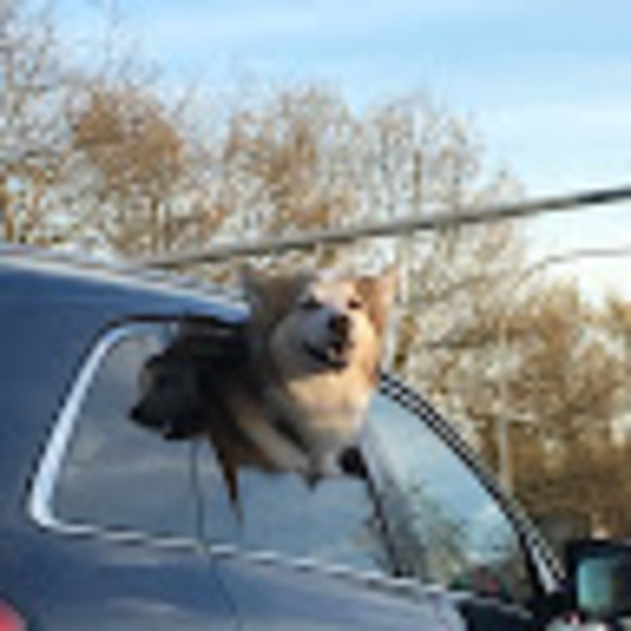 Meet your Posher, Kelly - Picture 1 of 1